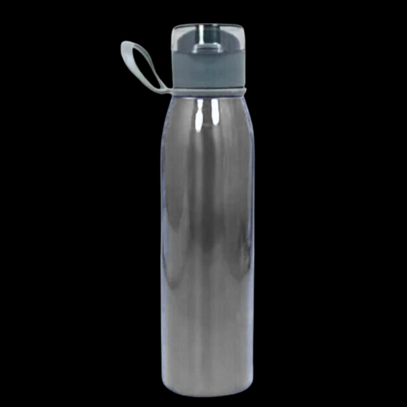 Stainless Steel Bottle With Handle (Grey)