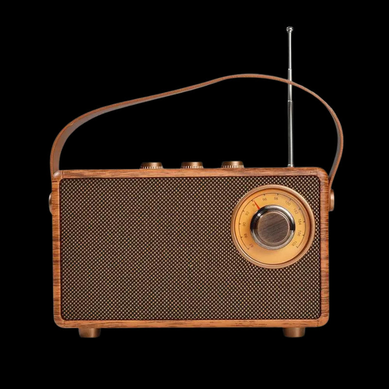 Wireless wooden FM radio