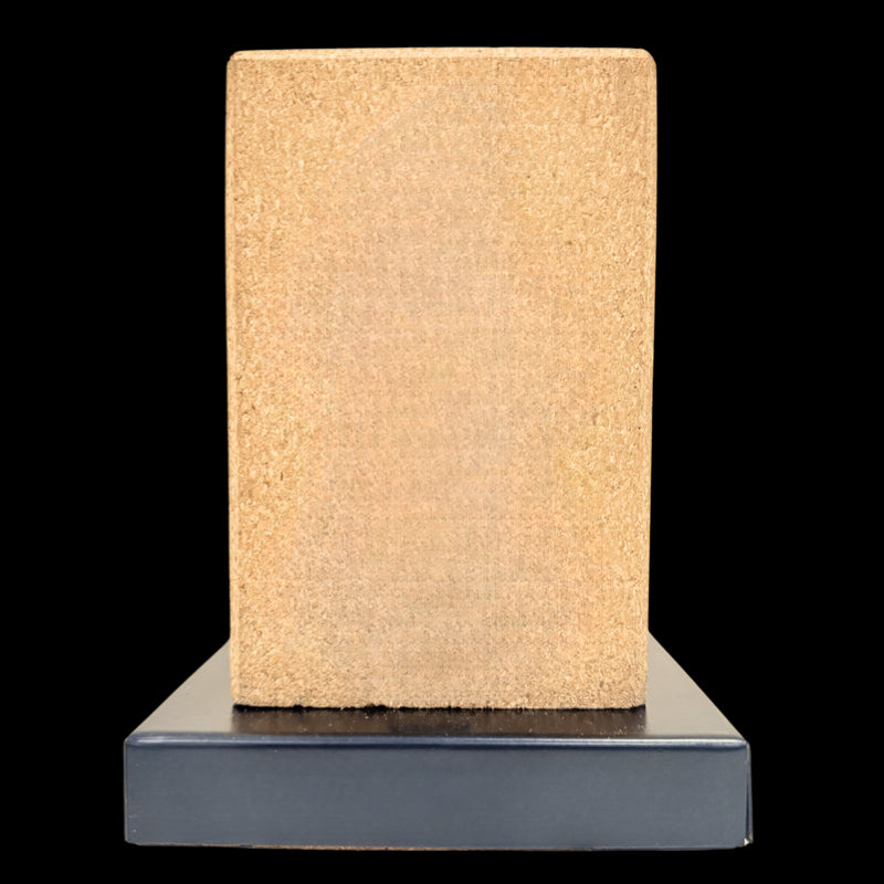 EcoEdge Recognition Trophy