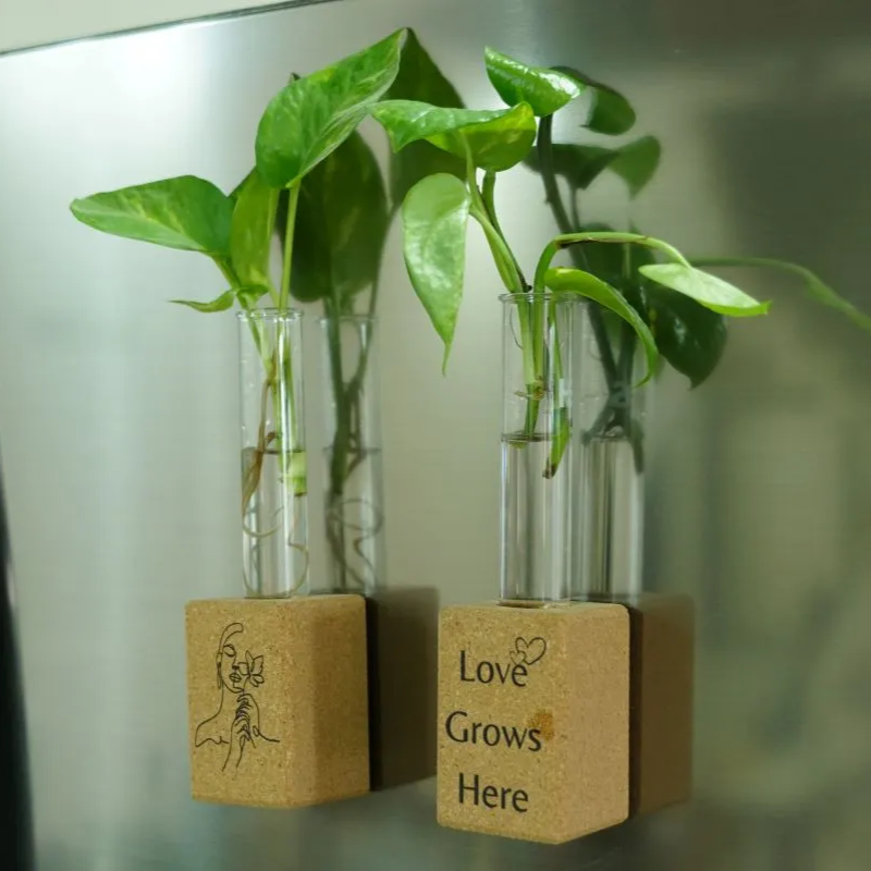 EcoHarmony Gift Set