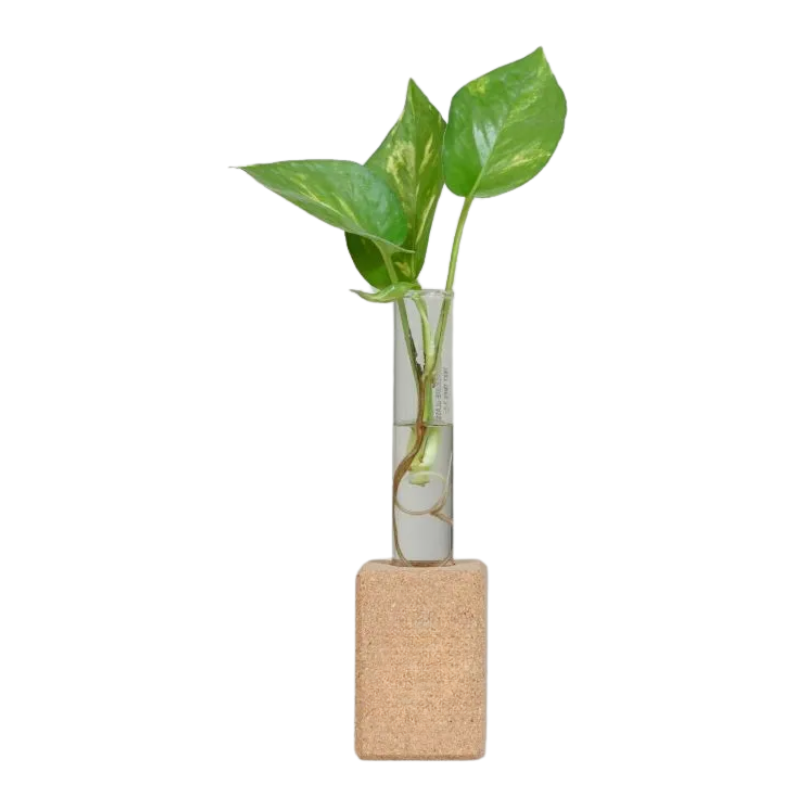 EcoZen Office Set