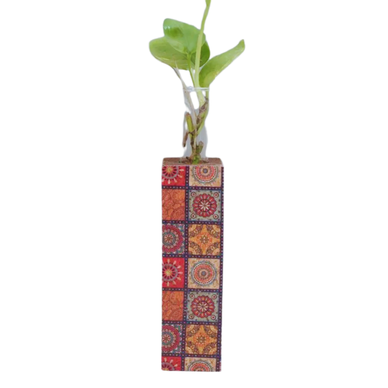 Serene Cork Essence Set