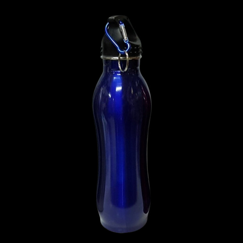 Stainless Steel Sports Water Bottle(Blue)