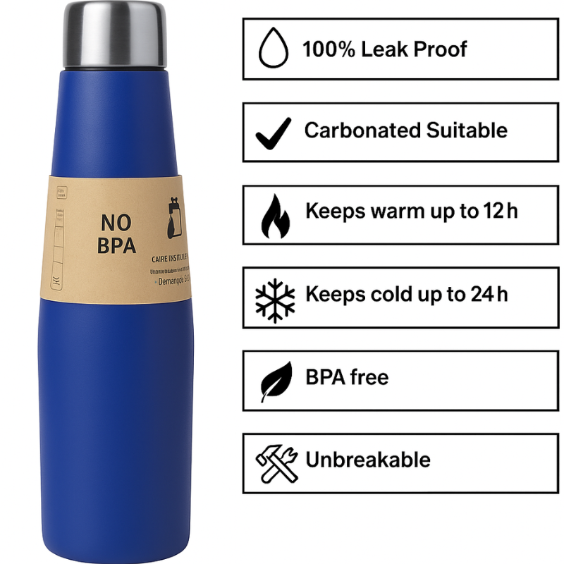 Desktop Flow Steel Bottle (Blue)